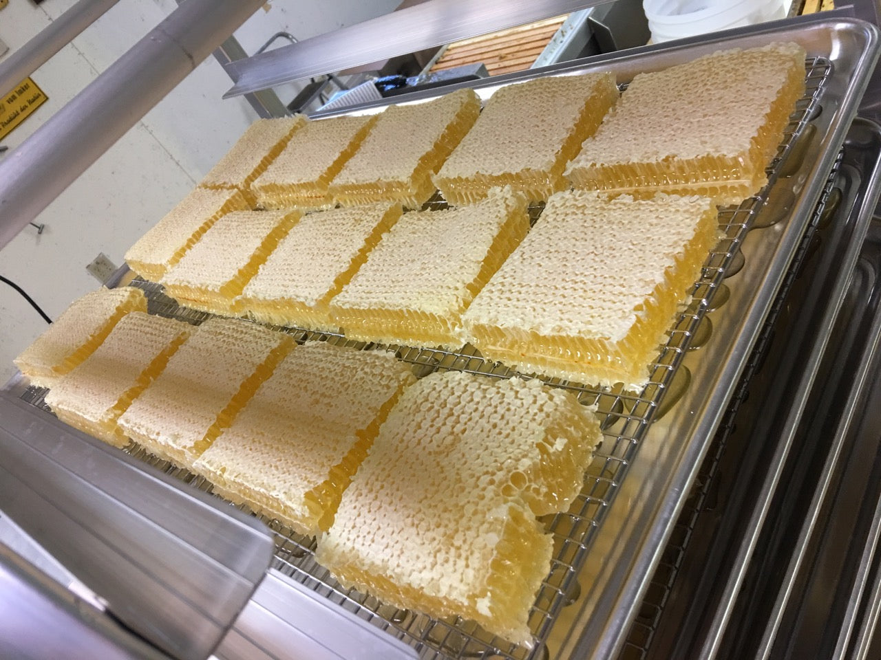 Delicious Comb Honey!