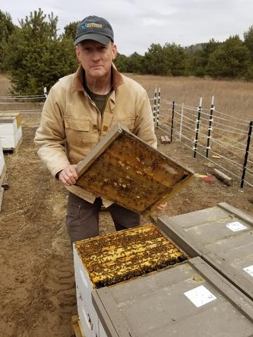 The Sustainability of our Honeybees - Part Two