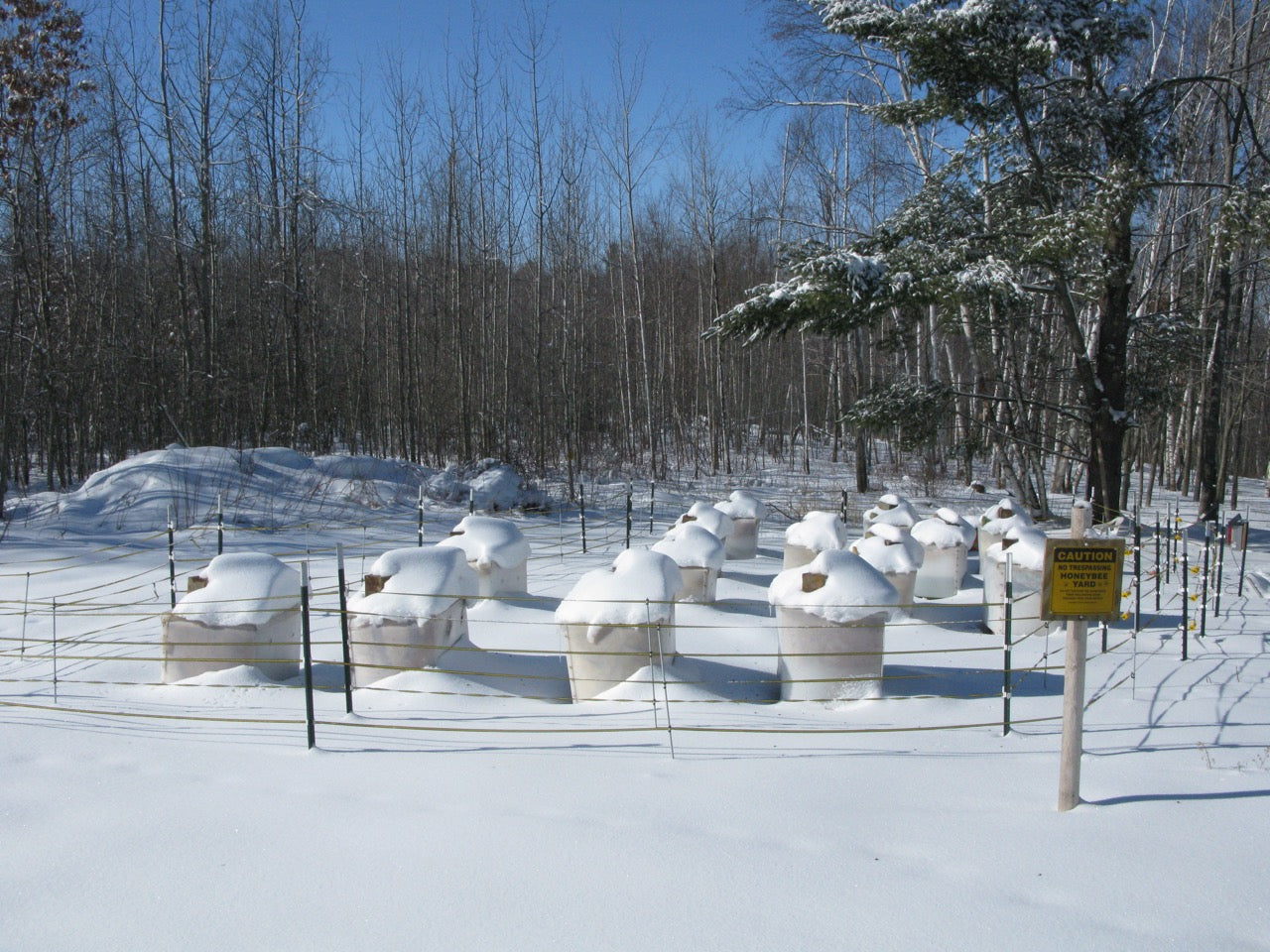 What do beekeepers do during winter?