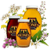Raw Honey Varietals